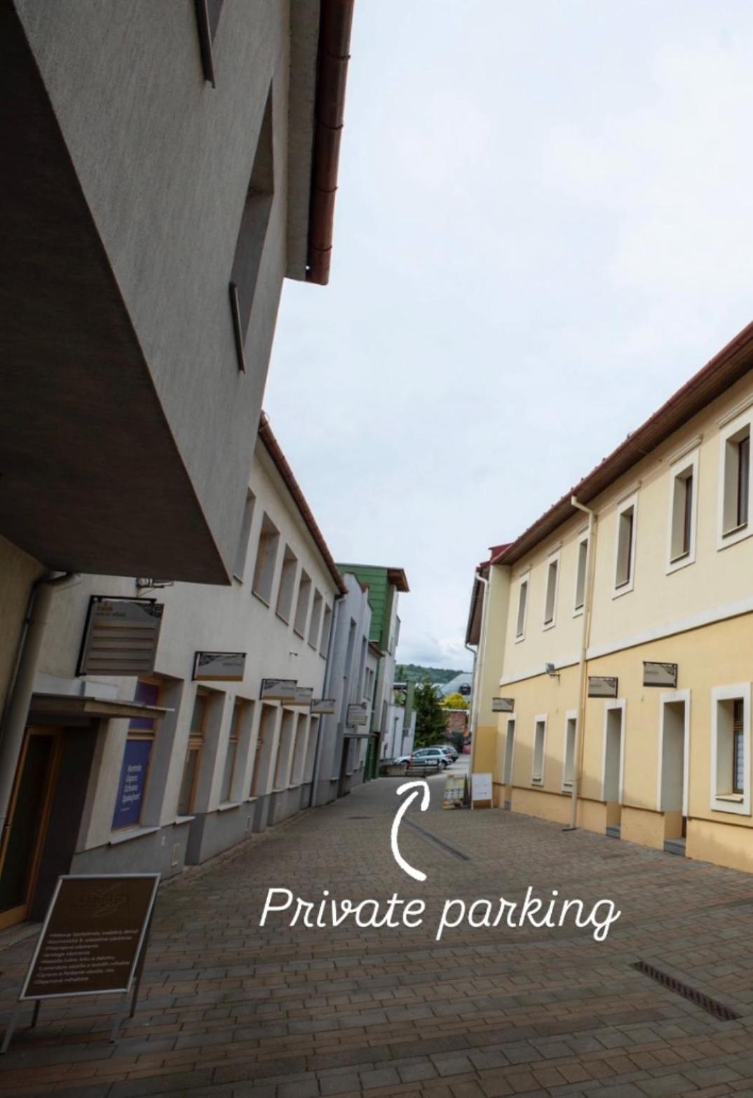 Alure Residences 10 - 24H Self Check-In & Private Parking Next To The Apartment Building Included, City Center Right On Snp Square In A Quiet Passage, New Building, Best Deal In Town バンスカー・ビストリツァ エクステリア 写真